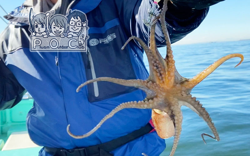 新企画！チームPOCのアウトドアレポート 今シーズン最後のイイダコ釣り ー東京湾編ー